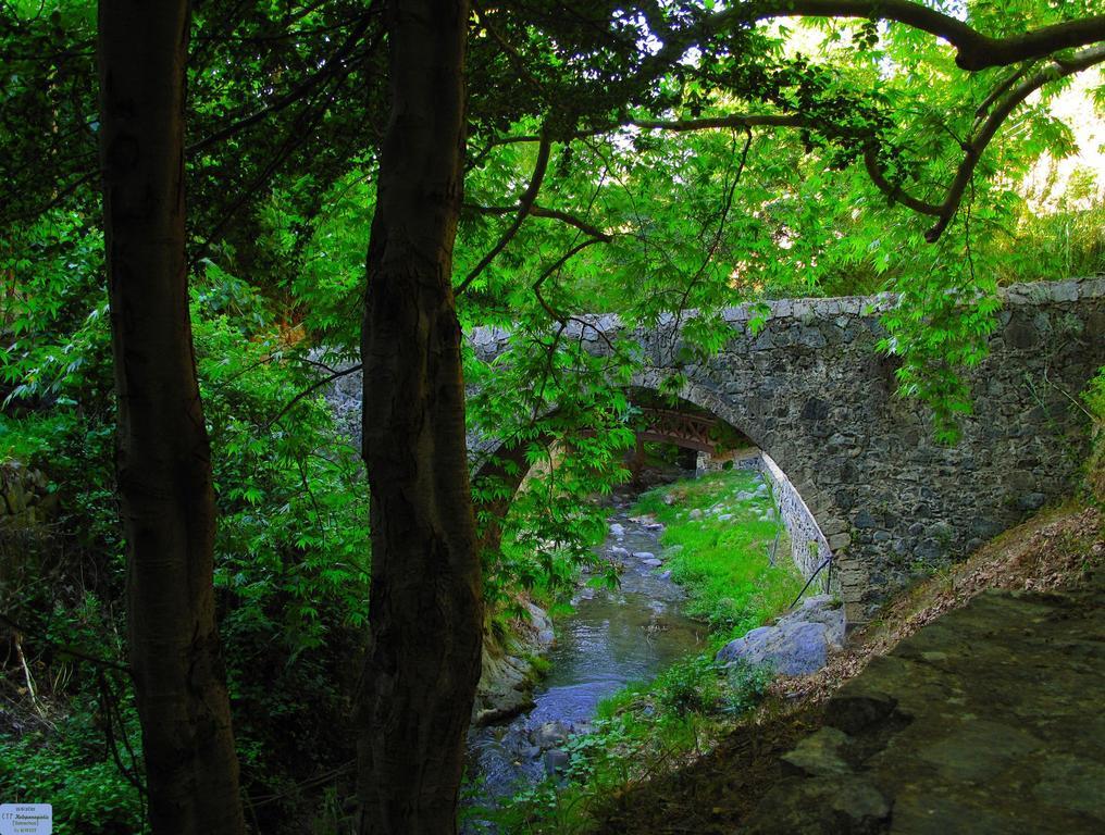 Hani Chrysomilou Kalopanagiotis Oda fotoğraf